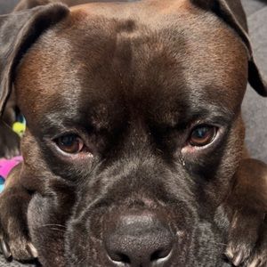 Meet your Posher, Aubrey